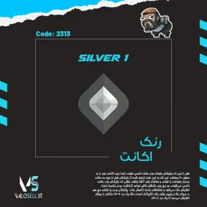 اکانت ولورانت رنک Silver 1 کد 2313