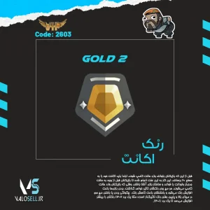 اکانت ولورانت رنک Gold 2 کد 2603