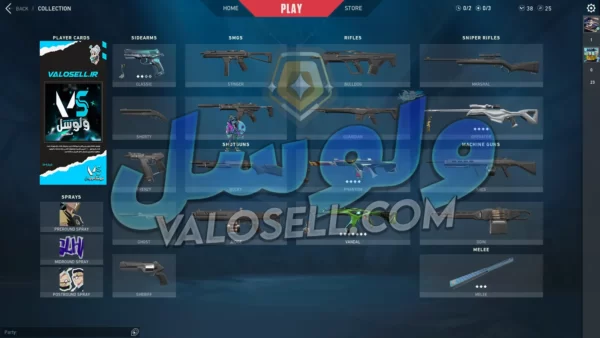 اکانت ولورانت رنک Gold 3 کد 2825