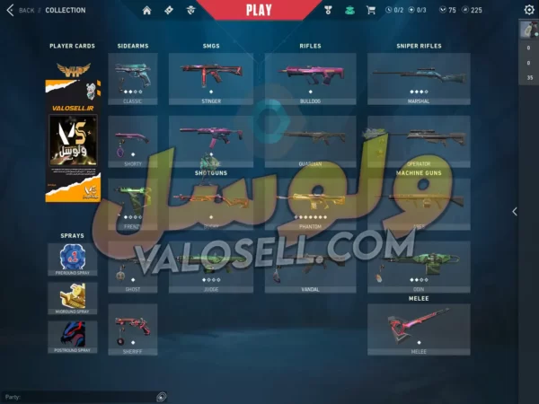 اکانت ولورانت رنک Platinum 1 کد 2862