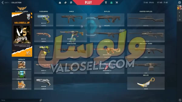 اکانت ولورانت رنک Platinum 2 کد 2863