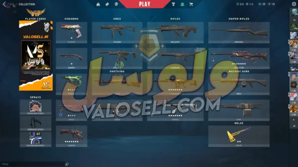 اکانت ولورانت رنک Gold 2 کد 2970