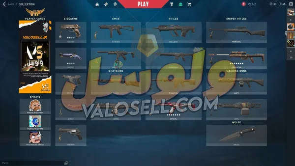 اکانت ولورانت رنک Gold 1 کد 3109