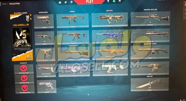اکانت ولورانت رنک Unranked کد 3119