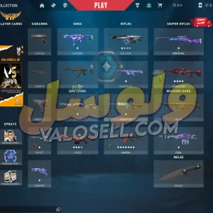 اکانت ولورانت رنک Platinum 3 کد 3125