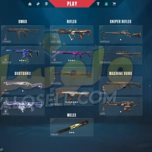 اکانت ولورانت رنک Gold 2 کد 3282
