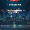 اکانت ولورانت رنک Gold 1 کد 3364 - Image 4