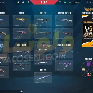اکانت ولورانت رنک Gold 1 کد 3421