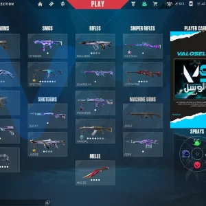 اکانت ولورانت رنک Platinum 2 کد 3792