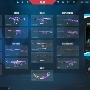 اکانت ولورانت رنک Platinum 3 کد 3798