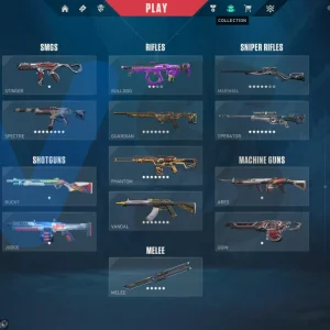 اکانت ولورانت رنک Platinum 1 کد 3804
