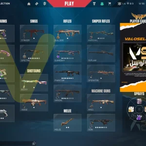 اکانت ولورانت رنک Platinum 2 کد 4043