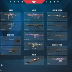 اکانت ولورانت رنک Platinum 2 کد 4206