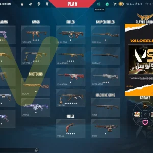 اکانت ولورانت رنک Gold 2 کد 4250