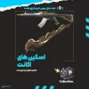 اکانت ولورانت رنک Diamond 1 کد 4374 - Image 2