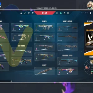 اکانت ولورانت رنک Platinum 2 کد 4472