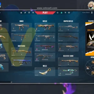 اکانت ولورانت رنک Platinum 1 کد 4507