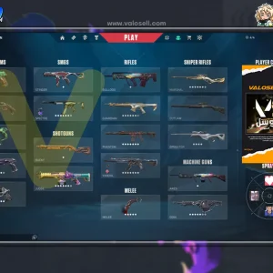 اکانت ولورانت رنک Platinum 2 کد 4568