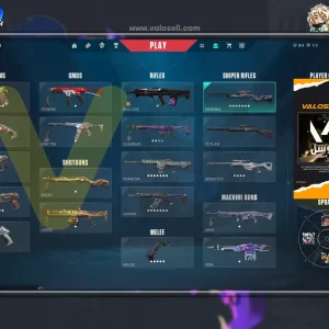 اکانت ولورانت رنک Silver 1 کد 4686