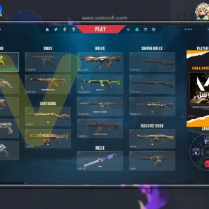 اکانت ولورانت رنک Platinum 3 کد 4691
