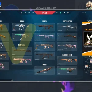 اکانت ولورانت رنک Platinum 2 کد 4821
