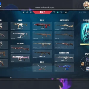 اکانت ولورانت رنک Unranked کد 4844