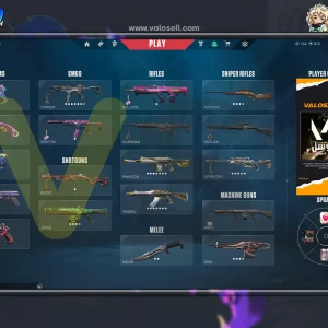 اکانت ولورانت رنک Platinum 2 کد 5038