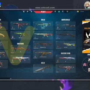 اکانت ولورانت رنک Platinum 2 کد 5149