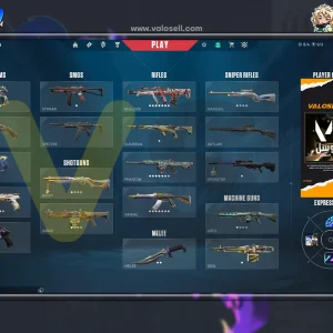 اکانت ولورانت رنک Unranked کد 5176