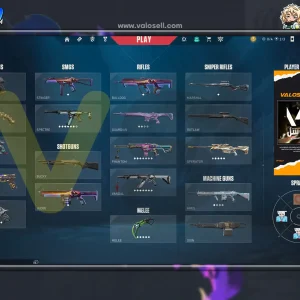 اکانت ولورانت رنک Unranked کد 5177