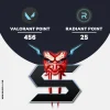 اکانت ولورانت رنک Platinum 3 کد 5233 - Image 3