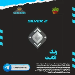 اکانت ولورانت رنک Silver 2 کد 5384