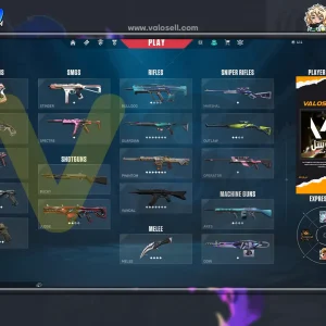 اکانت ولورانت رنک Platinum 1 کد 5514