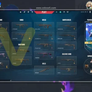 اکانت ولورانت رنک Unranked کد 5601