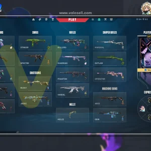 اکانت ولورانت رنک Unranked کد 5624