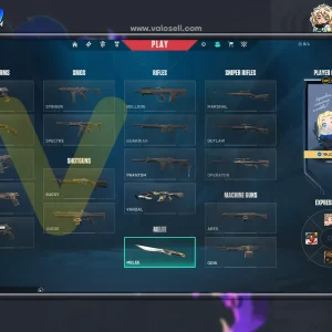 اکانت ولورانت رنک Gold 1 کد 5712