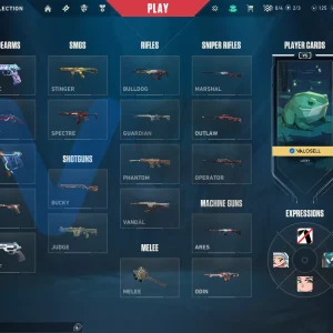 اکانت ولورانت رنک Unranked کد 5755