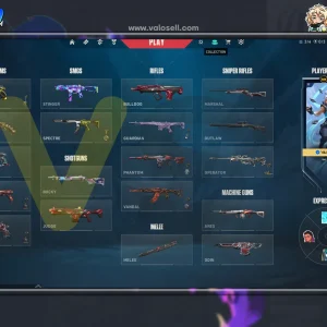 اکانت ولورانت رنک Gold 1 کد 5772